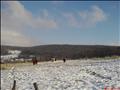 DSC00199